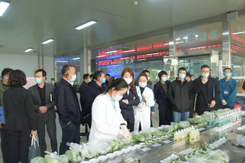 2021年全省农产品批发市场数字化转型推进会在朝阳集团成功召开