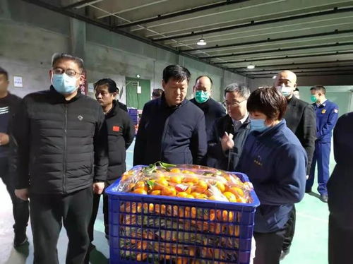张胜明副市长赴济宁蔬菜批发市场调研 筑牢食品安全防线，守护百姓“菜篮子”安全